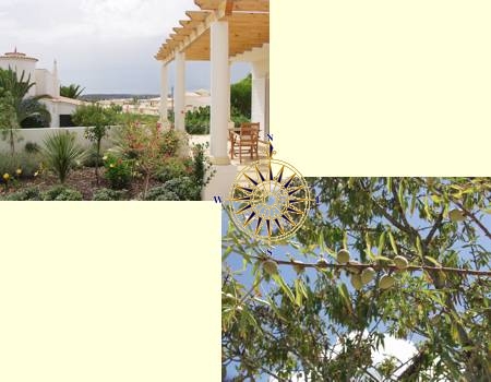 zwembad villa Algarve Portugal